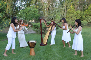 Música Antigua en el Museo Municipal de Bellas Artes (Argentina)