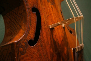 L’Animal Sonore una joven formación especializada en música para Viola da Gamba