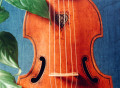 Curso de Música Antigua: “Early Music Courses Orpheon Foundation“
