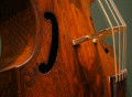 L’Animal Sonore una joven formación especializada en música para Viola da Gamba