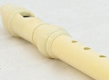 La flauta de plástico: «un engendro maligno con pésimos resultados sonoros y musicales»