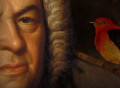 El pájaro que inventó la música de Bach