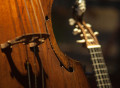 Premios que recogen la “cosecha 2015” de Música Antigua