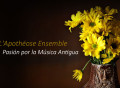 Excelente labor de las nuevas generaciones de músicos europeos