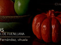 El sello CI Records debuta con la vihuela de Fuenllana
