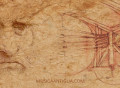 Recordamos a Leonardo da Vinci y su legado en la música