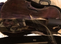 Destrozada una Viola da gamba del siglo XVII durante un vuelo